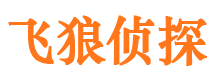 盐田市调查公司